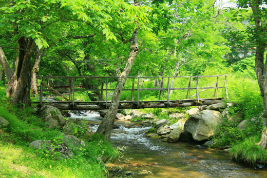 527881 (a): :1920x1280